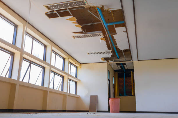 Best 24/7 water damage repair  in Harkers Island, NC