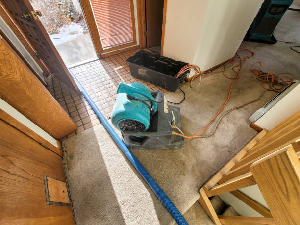  Harkers Island, NC Water damage restoration Pros