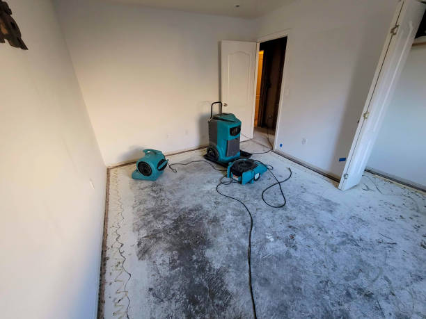 Best Mold removal after water damage  in Harkers Island, NC