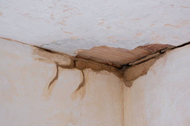 Best Sewage cleanup and water damage restoration  in Harkers Island, NC