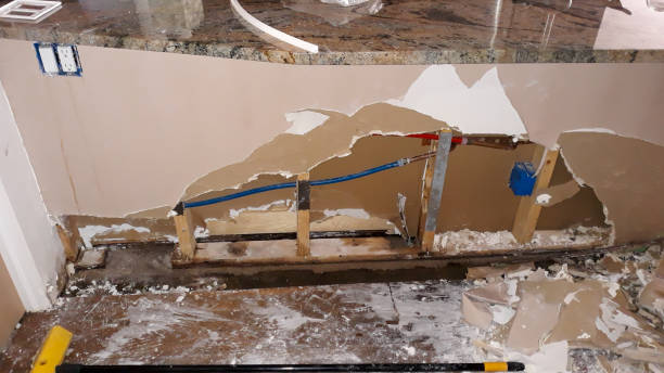 Best Water damage restoration near me  in Harkers Island, NC