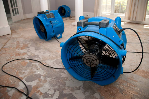 Best Emergency water damage restoration  in Harkers Island, NC