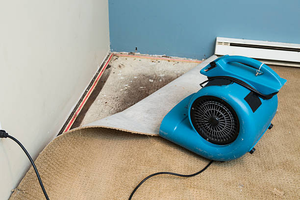 Best Water damage contractors near me  in Harkers Island, NC